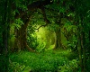 Forest 6 Background F