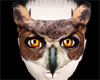 Owl Mask Night Owl