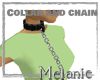 Collar and chain