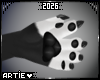 A* Bongo | M Paws