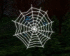 ~A Spiderweb Kiss~