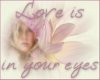 Love Is In Your Eyes