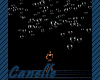 Lights Coeur Canelle