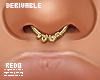 DRV. Anyshape septum