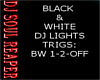 B/W DJ LIGHTS