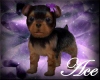 @ Cute Terrier Purple