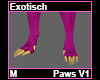 Exotisch Paws M V1