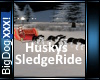 [BD]HuskysSledgeRide