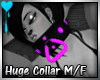D~Huge Collar:Purple(M/F