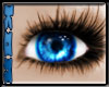 [KON]Cool eyes-D blue F