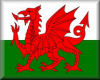 Welsh  Flag/button