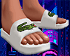 slide lcst