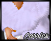 C Star Brite Coat