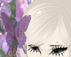 faeri hair