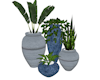 plants group