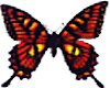 [DM] Butterfly Sticker