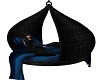 Blue/Black Canopy Swing