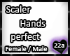22a_Hands scaler perfect