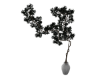 olive_tree plant