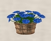 Flowers in basket - blue