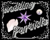 ~cr~wedding  Particle