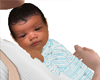 Musa baby chest