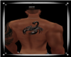 (J)Scorpion Back Tattoo