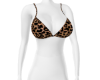 Leopard Bra