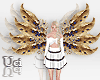 Anjana Wings