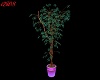 Green Potted Tree
