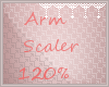 *C* Arm Scaler %120