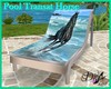 |DRB| Pool Transat Horse
