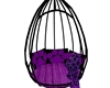 Purple Paw Egg Swing