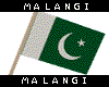 Pakistan Flag [Unisex]