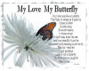 My Love My Butterfly