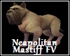  Neapolitan Mastiff FV