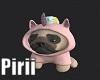 Pug in Outfit v4