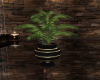 Black&Gold Potted Palm