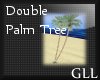 GLL Palm Tree Double