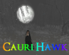 D Haunted Willows Dreams