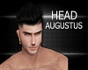 Augustus Head