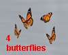 Butterflies Group of 4