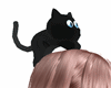 Gato brujo F