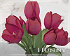 H. Spring Pink Tulips