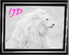 !JD White Lion Photo