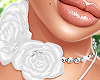 Rose Choker White