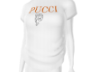 Pcci Logo Jersey 3