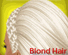 Blond Hair | SAR SAC