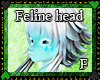 Feline *F* head