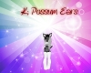 K; Possum Ears
